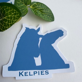 Sticker| Blue kelpie | Planner | Journal | Laptop